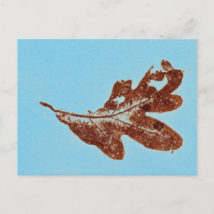 Carte postale "Chêne Brown sur Bleu"