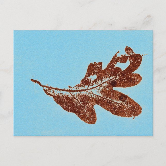 Carte postale "Chêne Brown sur Bleu" (Devant)