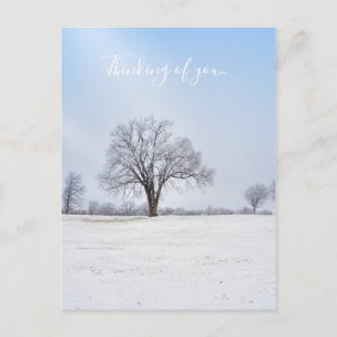 Carte Postale Chêne d'hiver surligné La pensée de vous