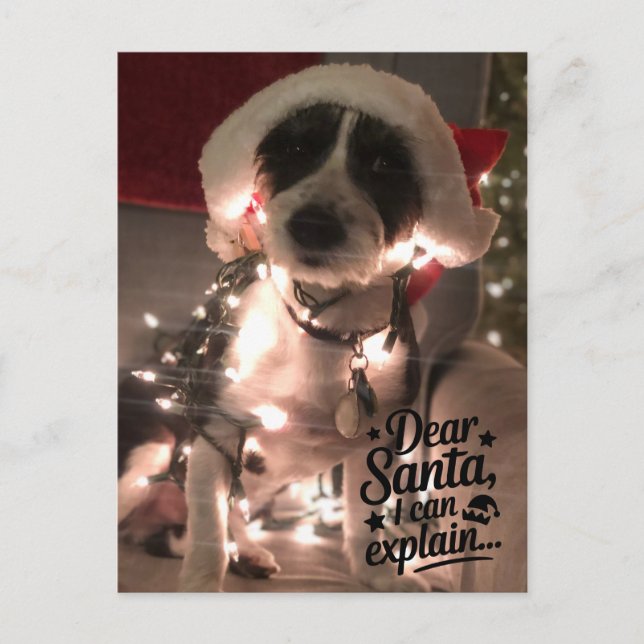 Carte Postale Cher Père Noël, je peux expliquer (chien) (Devant)