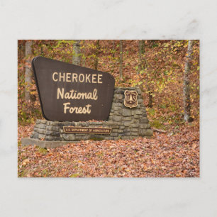 Carte Postale Cherokee Forêt nationale signe à l'automne dans le