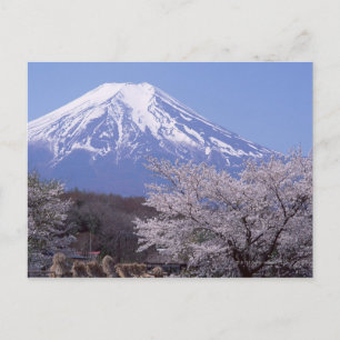 Carte Postale Cherry Blossom et le mont Fuji