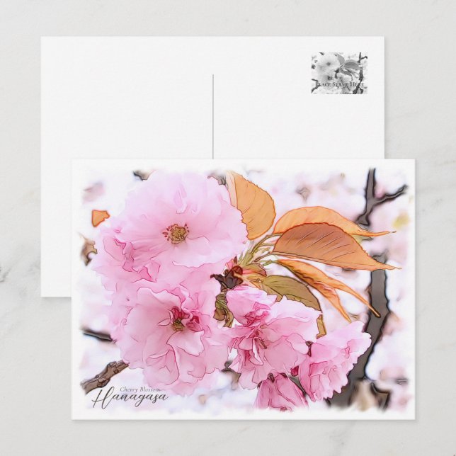 Carte Postale Cherry Blossom "Hanagasa" (Devant / Derrière)