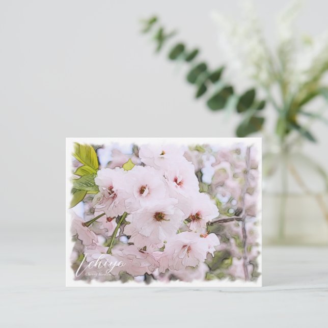 Carte Postale Cherry Blossom "Ichiyo" (Debout devant)