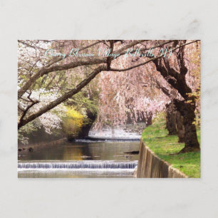 Carte Postale Cherry Blossom Village 04