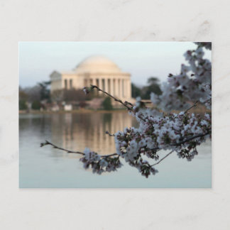 Carte Postale Cherry Blossom Washington DC