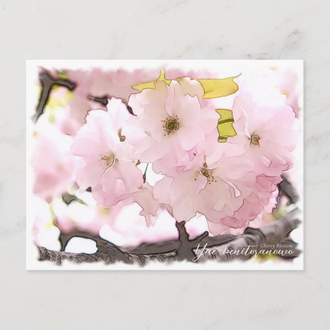 Carte Postale Cherry Blossom "Yae-benitoranowo" (Devant)