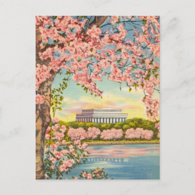 Carte Postale Cherry Blossoms à Washington D.C. (Devant)