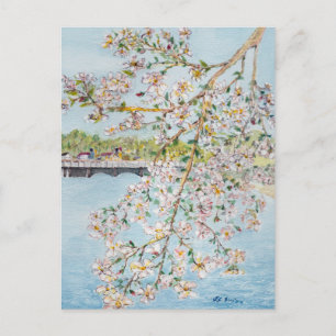 Carte Postale Cherry Blossoms Washington DC Painterly Watercolor