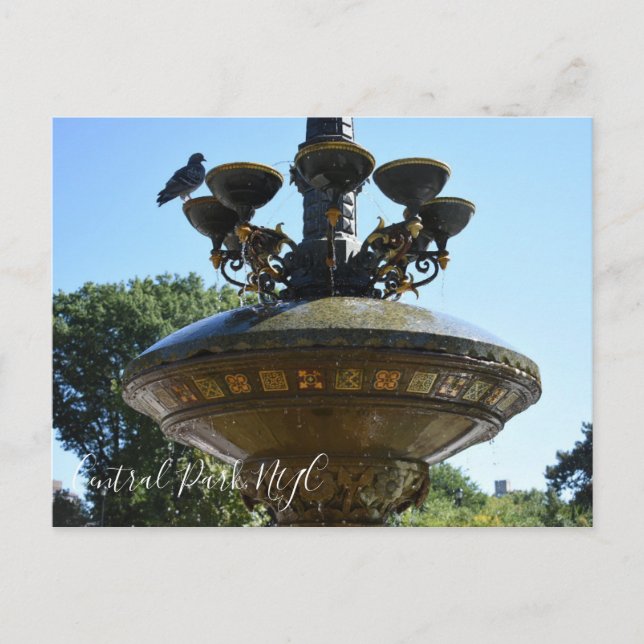 Carte Postale Cherry Hill Fountain Central Park Photographie NYC (Devant)
