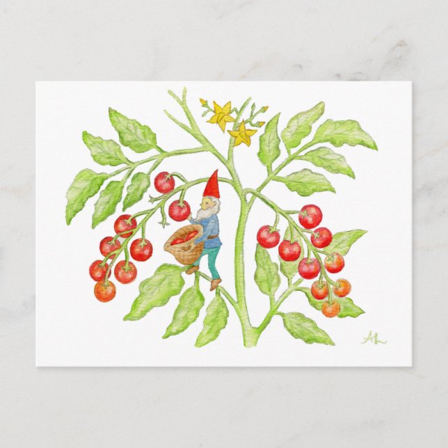 Carte postale Cherry Tomato Gnome (Devant)