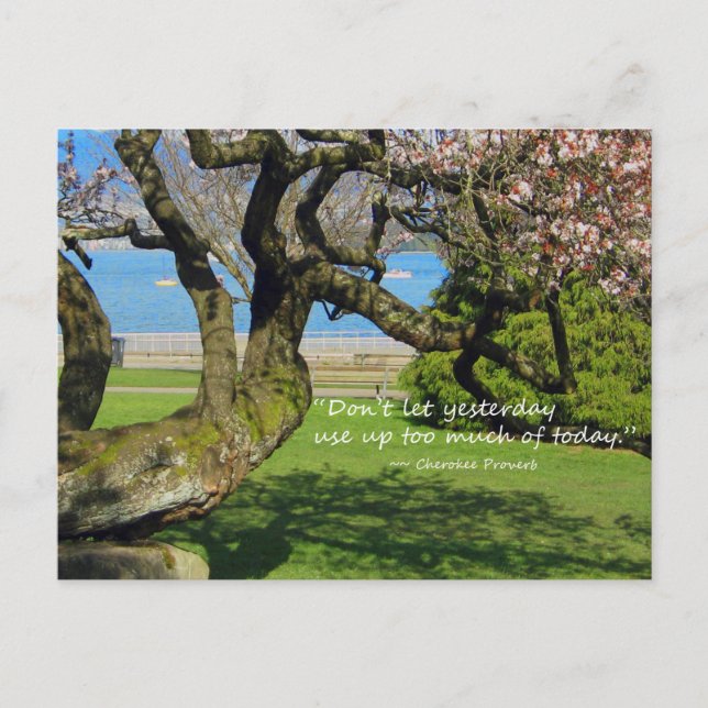 Carte postale Cherry Tree Cherokee Proverbe (Devant)