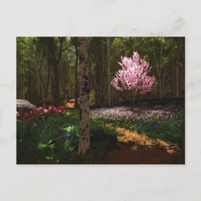 Carte postale Cherry Tree Concerto (Devant)