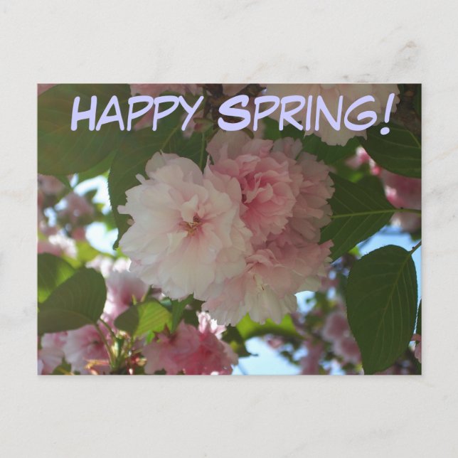 Carte Postale Cherry Tree I Spring Floral (Devant)