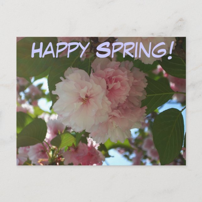 Carte Postale Cherry Tree I Spring Floral (Devant)