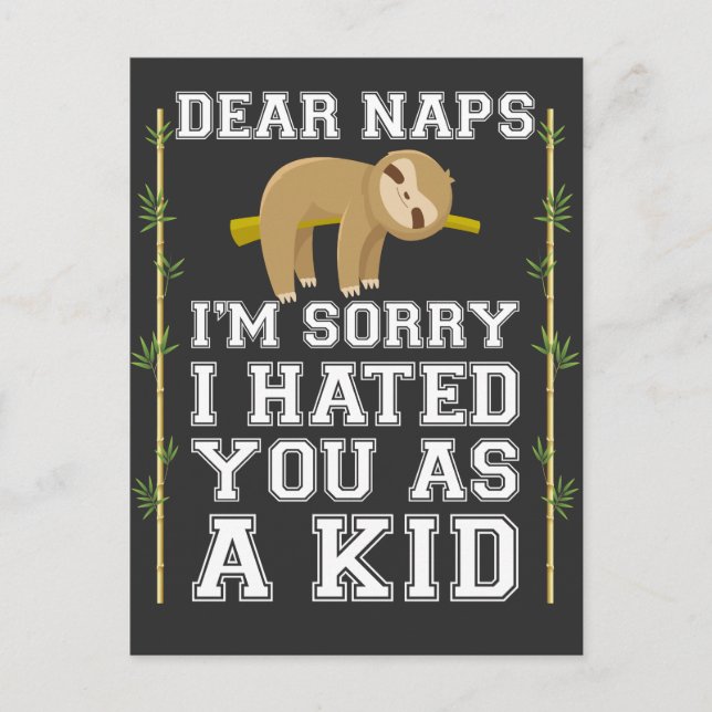 Carte Postale Chers Naps mignons Sloth Napping Lazy Nap Lover (Devant)