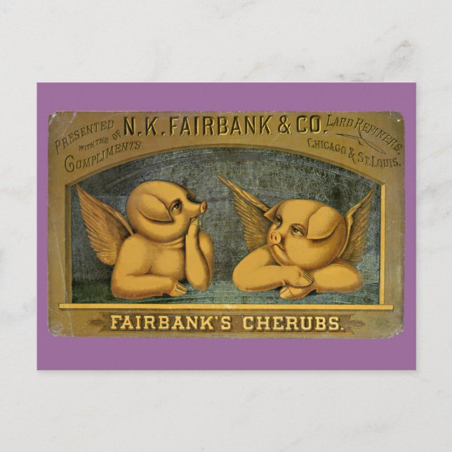 Carte postale Cherub Angel Pigs (Devant)
