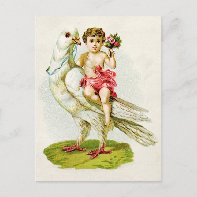 Carte Postale Cherub avec Roses chevauchant une colombe (Devant)