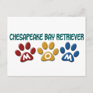 Carte Postale CHESAPEAKE BAY RETRIEVER Maman Empreinte de patte 