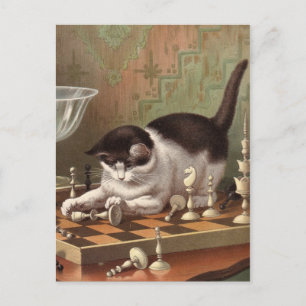 Carte postale Chess Cat