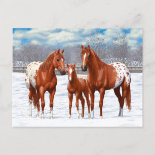 Carte Postale Chestnut Appaloosa Sorrel Quarter Chevaux en Neige