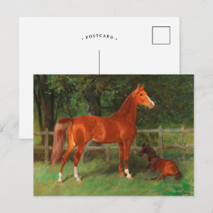 Carte Postale Chestnut avec poulain dans la prairie Hans Haag