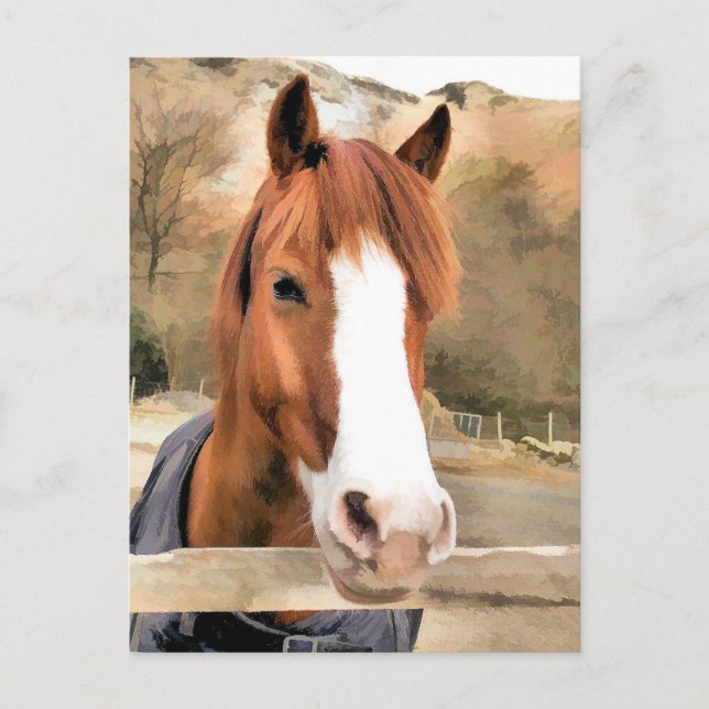 CARTE POSTALE CHESTNUT CHEVAL (Devant)