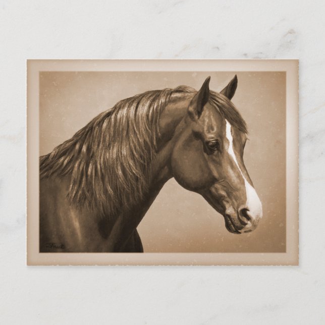 Carte Postale Chestnut Morgan Horse à Sepia (Devant)