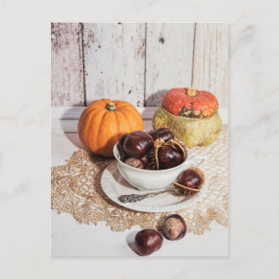 Carte Postale Chestnut rustique saisonnière et citrouille vie mo