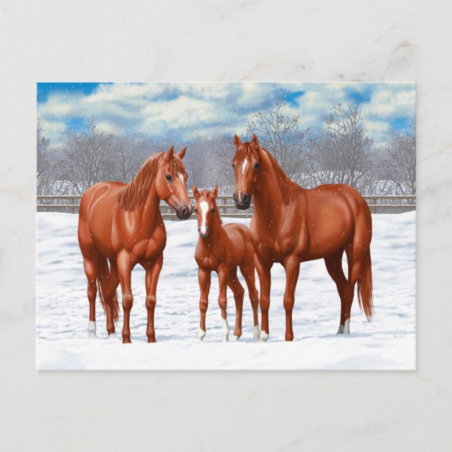 Carte Postale Chestnut Sorrel Quarter Chevaux En Neige (Devant)
