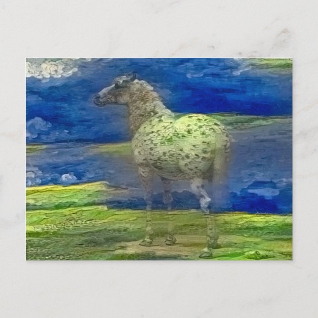 Carte Postale Cheval (Devant)
