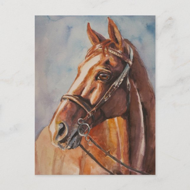 Carte Postale Cheval 2 (Devant)