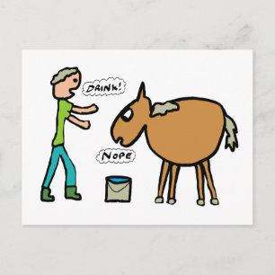 Carte Postale Cheval À L'Eau