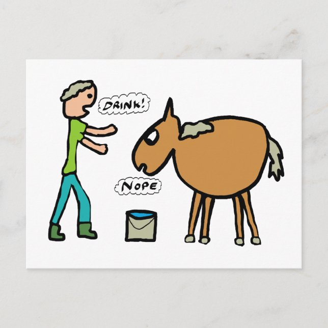 Carte Postale Cheval À L'Eau (Devant)