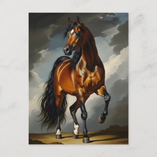 Carte Postale cheval arabe