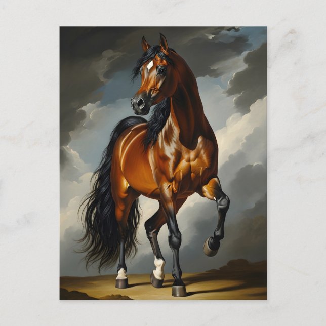 Carte Postale cheval arabe (Devant)