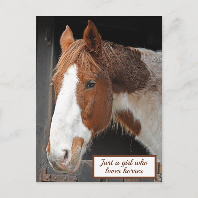 Carte Postale Cheval au gingembre à la ferme Juste une fille qui (Devant)