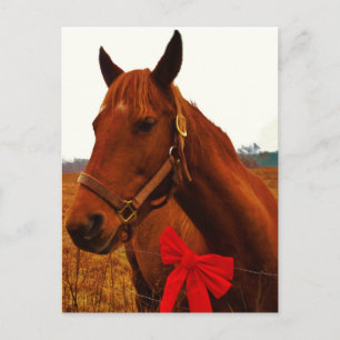 Carte Postale Cheval avec Bow rouge