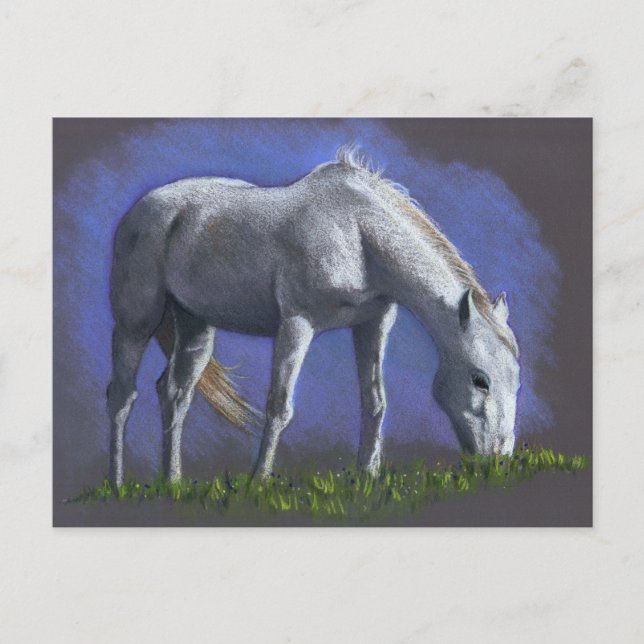 CARTE POSTALE CHEVAL BLANC : COULEUR RÉALISME PENCIL (Devant)