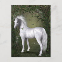 Carte postale Cheval blanc dans les bois avec coli