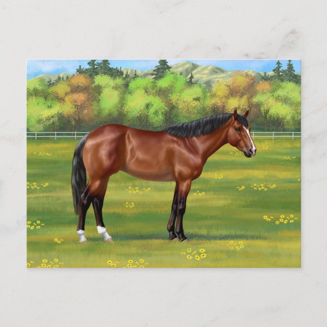 Carte Postale Cheval Brown Bay Quarter (Devant)