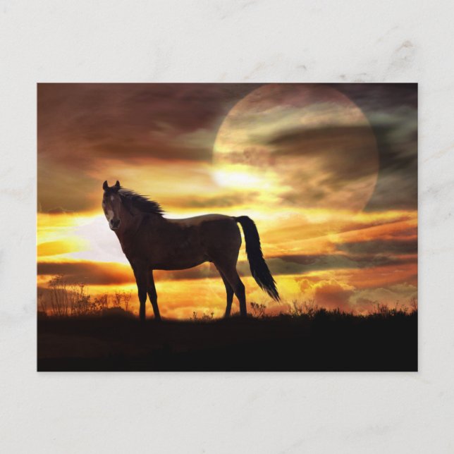 Carte postale Cheval Céleste et Lune (Devant)