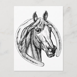 Carte Postale Cheval chanceux