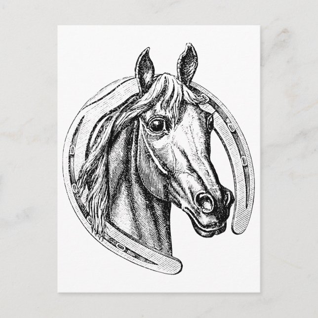 Carte Postale Cheval chanceux (Devant)