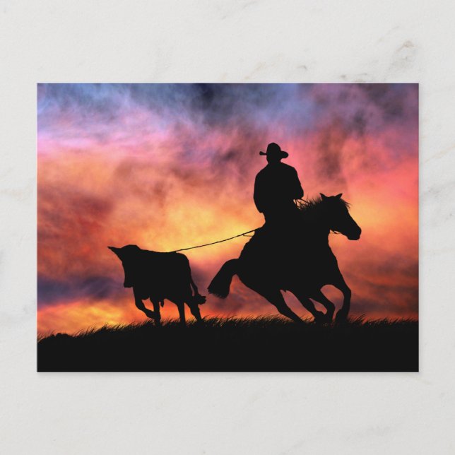 Carte Postale Cheval Cowboy et Steer Roping au coucher du soleil (Devant)