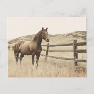Carte Postale Cheval dans la gamme Sépia vintage