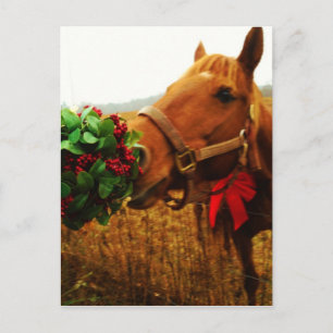 Carte Postale Cheval de baiser sous Mistletoe