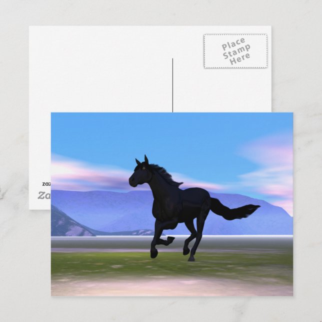 Carte Postale Cheval de Black Galloping (Devant / Derrière)