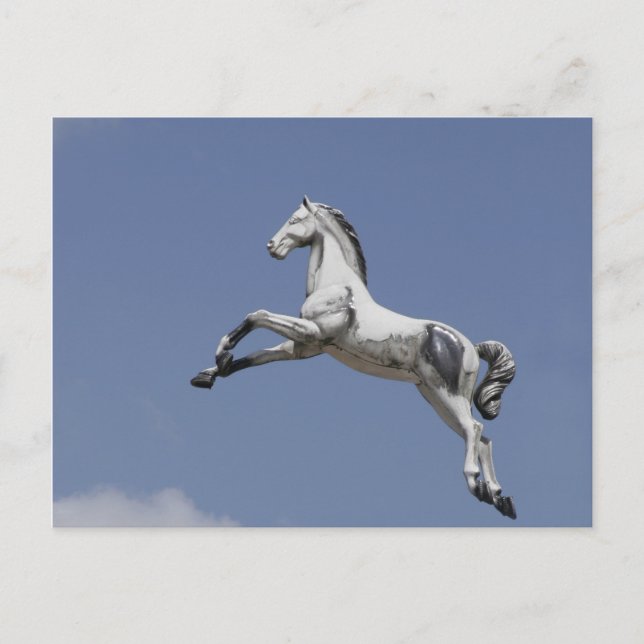 Carte Postale Cheval de Carousel (Devant)