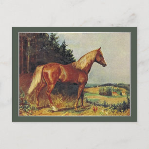Carte Postale Cheval de châtaignes